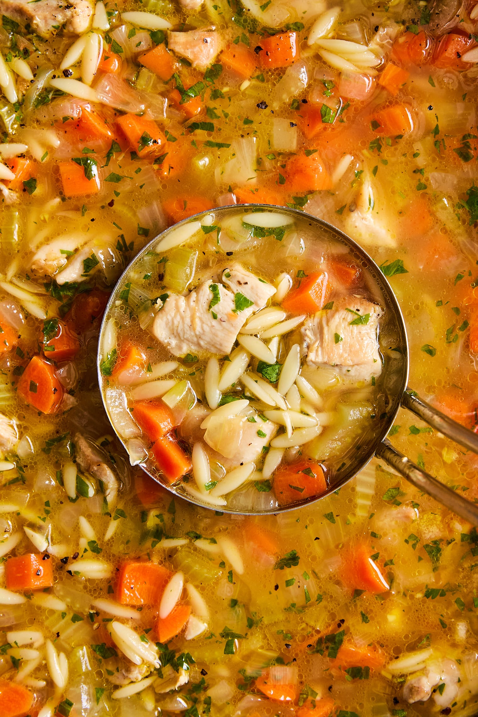 Lemon Chicken Orzo Soup
